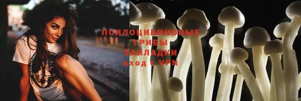 скорость Алексин