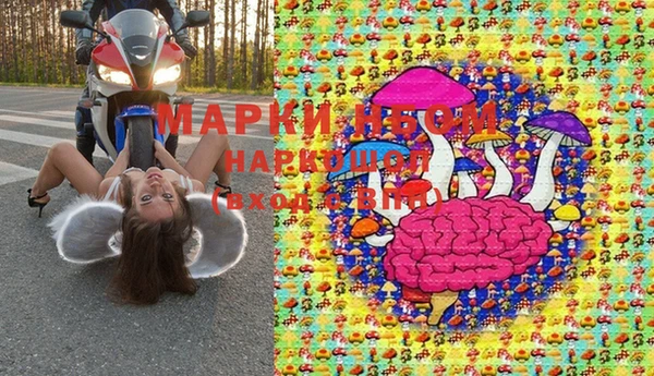 СК Арсеньев